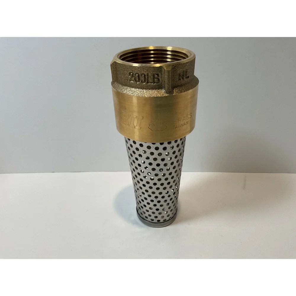 PLOMB eeze 1 1/4 inch Brass Foot Valve for Water Pumps and Wells